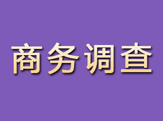 连山商务调查